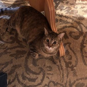 Meet your Posher, Kaitlyn